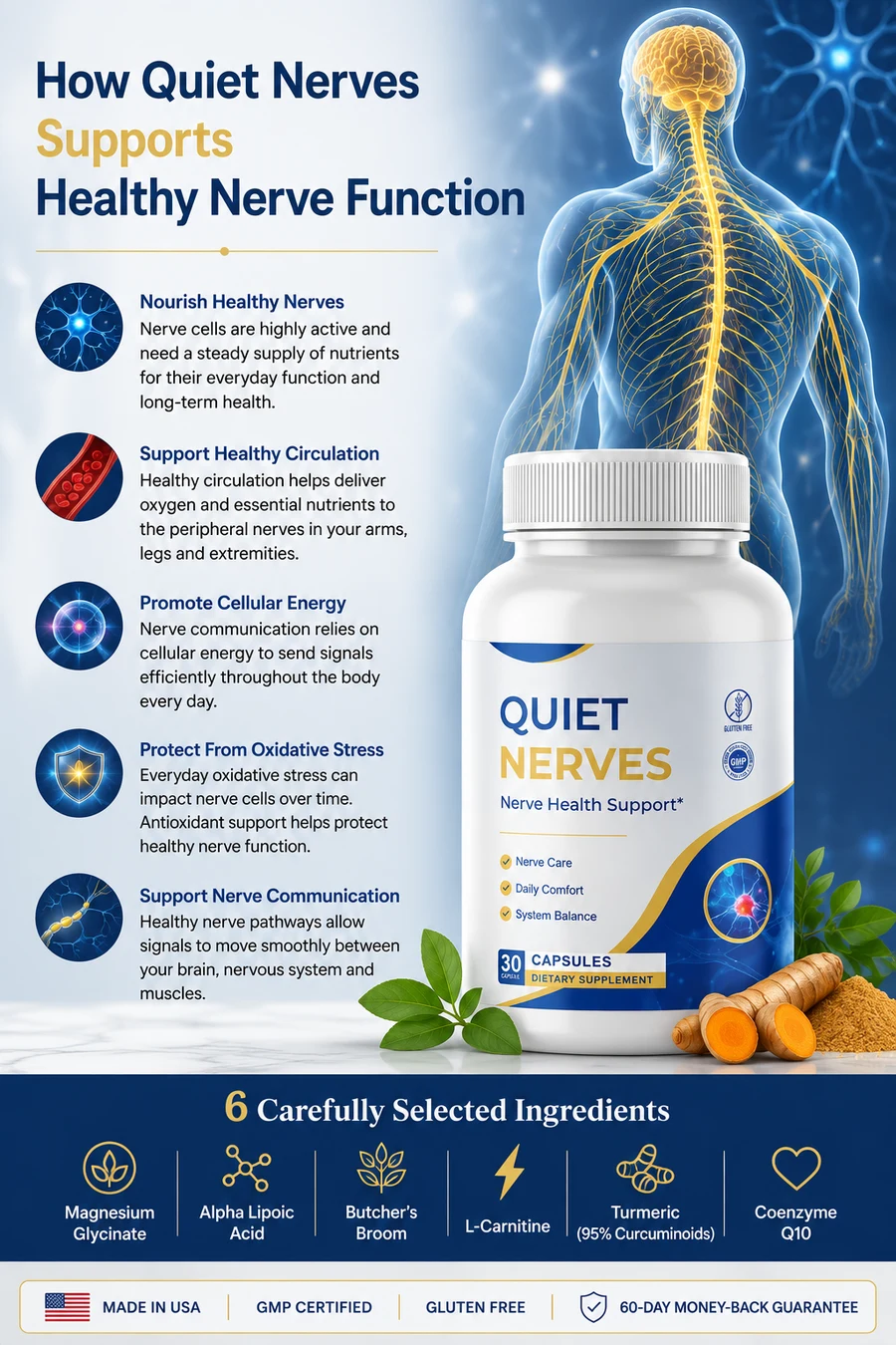 How Quiet Nerves supports healthy nerve function — nourishing nerves, supporting circulation, promoting cellular energy, protecting from oxidative stress, and supporting nerve communication