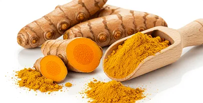 Turmeric root and standardized turmeric extract powder